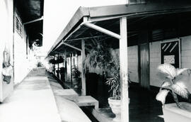 6241-5.jpg