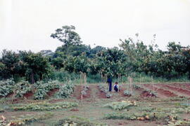 4316-2.jpg