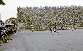 6277-38.jpg