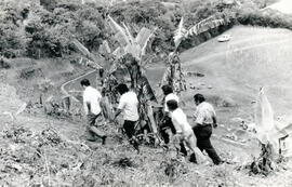 5848-2.jpg