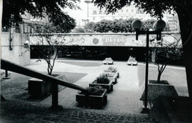 3894-2.jpg