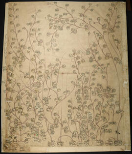Genealogía de las familias Sidonia, González, Bertora, Castro Lizano, Herrera, Zumbado y Araya