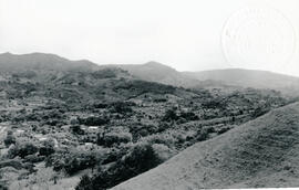 5083-2.jpg