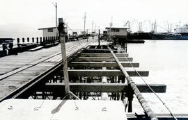 Fotografía del Muelle del Estero. Puntarenas
