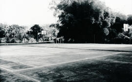 6249-9.jpg