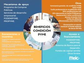 Infografías sobre los beneficios del Registro Pyme