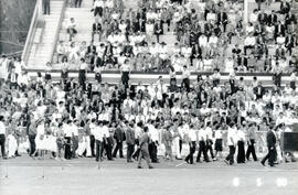 4971-2.jpg
