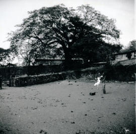 4126-25.jpg