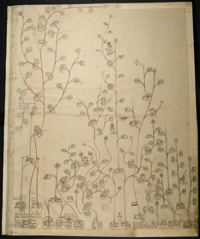 Open original Document numérique