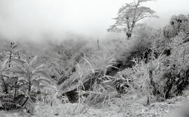 6043-5.jpg
