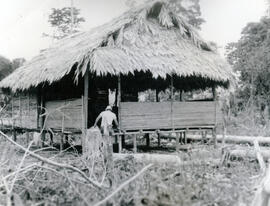 Fotografía de la Escuela de Suiri en Limón