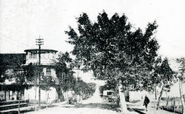 Fotografía de la avenida de Las Damas, tomada de este a oeste San José