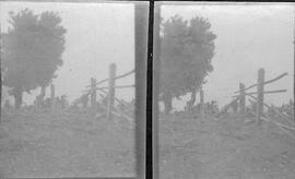 Fotografía estereoscópica de una tranquera para la milpa de la casa de Marín. Esta Fotografía for...