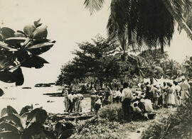 Fotografía de algún lugar de Limón, algunas personas portan pancartas. Limón
