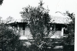 4153-19.jpg