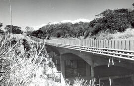 Fotografía de uno de los puentes de la carretera Bernardo Soto, bajo el cual existen varios tugur...