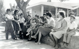 4595-7.jpg