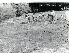 003648-3