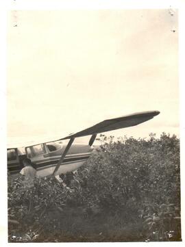 251906.jpg