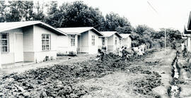 4393-2.jpg