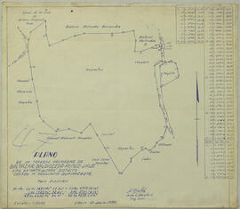 Plano de terreno propiedad de Baltazar Baldioceda Muñoz situado en Mata de Caña de Liberia, provi...