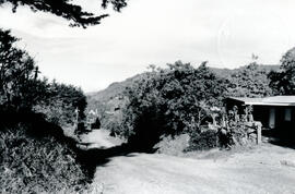 5026-4.jpg