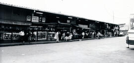 4026-9.jpg