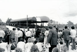 4978-22.jpg