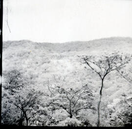 4117-12.jpg