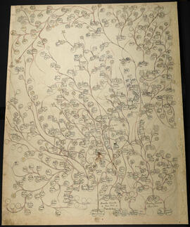 Genealogía de las familias Ulloa González, Castillo Palacios, Fernández Umaña, Mora Valverde, ori...
