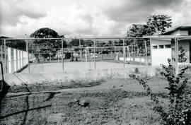 6241-8.jpg