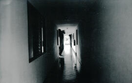 6249-2.jpg