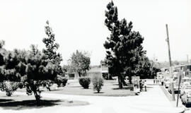 Fotografías con imágenes del parque de San Isidro de Coronado San José