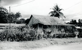 6243-3.jpg