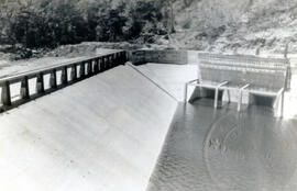 4256-2.jpg