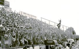 6276-19.jpg