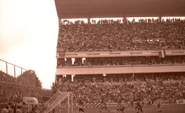6276-8.jpg