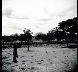 4126-17.jpg