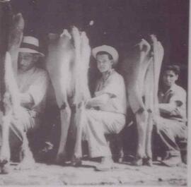 Fotografía del trabajo de ordeñar vacas en una lechería, en la década de 1930. Costa Rica