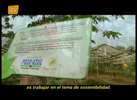 Video titulado Turismo en Sarapiquí, de la serie Forjadores, cantones de Costa Rica