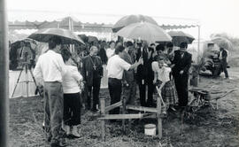 6002-17.jpg