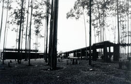 4057-4.jpg