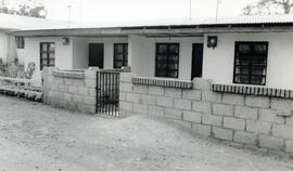 4431-3.jpg