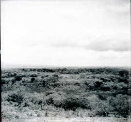 4123-6.jpg