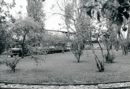 6286-3.jpg