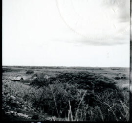 4123-10.jpg