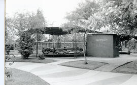 6286-5.jpg
