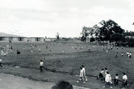 4991-3.jpg