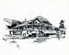 4142-2.jpg