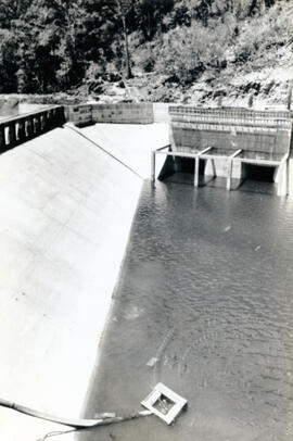 4258-2.jpg